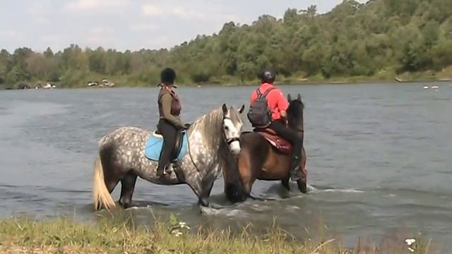 июль 2016г. Мы, лошади и... горная речка. смотреть онлайн