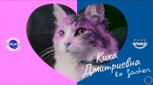 Whiskas — «Кика Дмитриевна» в 8х быстрее
