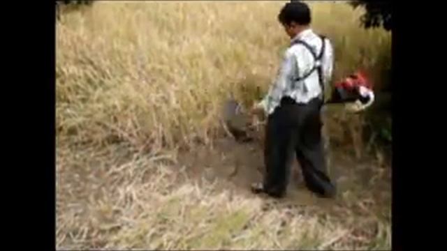 BRUSH CUTTER WITH PADDYATTACHMENTMBC4320H смотреть онлайн