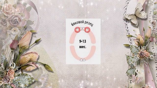 Очередность прорезывания зубов у детей! смотреть онлайн