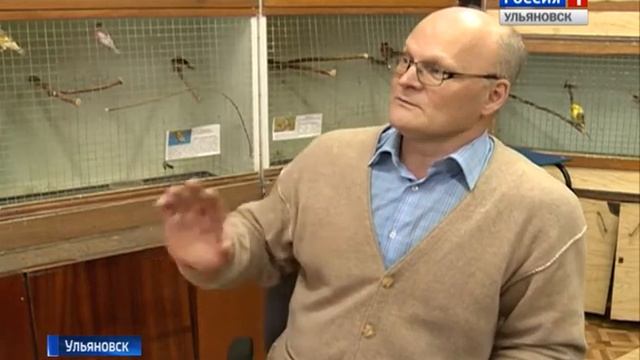 День зимующих птиц России смотреть онлайн