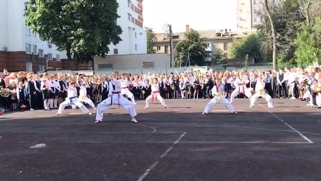 Тхэквондо смотреть онлайн