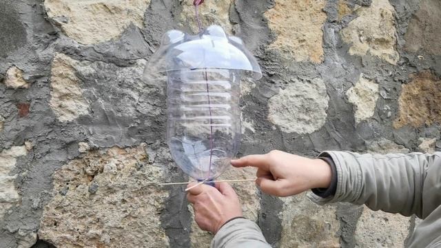 Кормушки для синиц с вертикальным влетом и вылетом смотреть онлайн