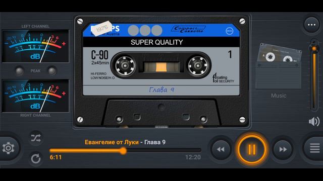 Евангелие от Луки  Глава 9