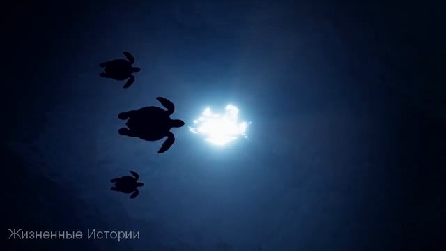 Истории из жизни. Неприлично счастливая бабушка и Дочка. Аудио рассказы. смотреть онлайн