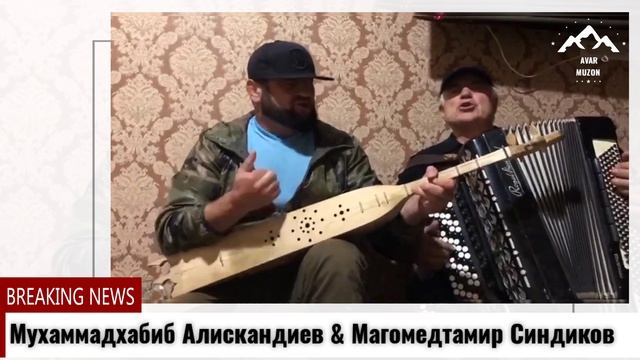Мухаммадхабиб Алискандиев Магомедтамир Синдиков смотреть онлайн