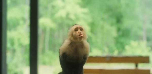 GIGI & NATE Trailer (2022) Charlie Rowe, Josephine Langford.mp4