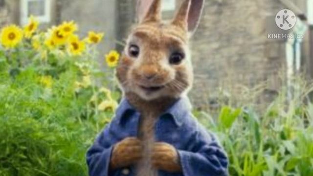 ЗАЯЦ. Характеристика рожденных в ГОД ЗАЙЦА смотреть онлайн