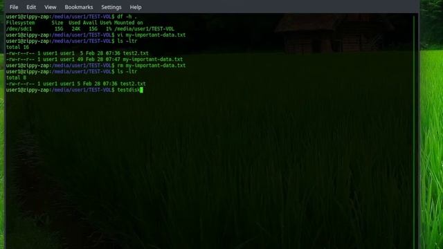 Linux Recover Deleted File With Testdisk смотреть онлайн
