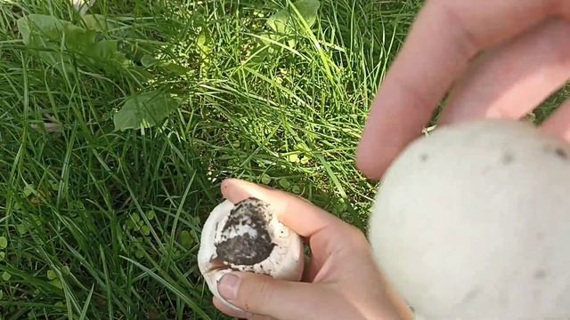 Теггинг с Донером | Граффити                 опасный теггинг #graffiti #teg