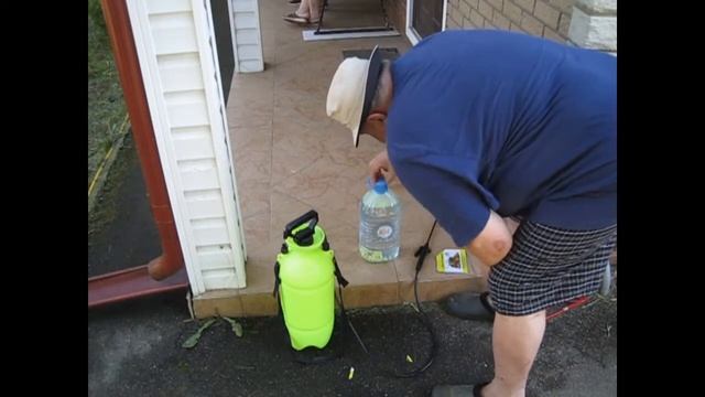 Обработка груши коллоидной серой против ржавчины смотреть онлайн