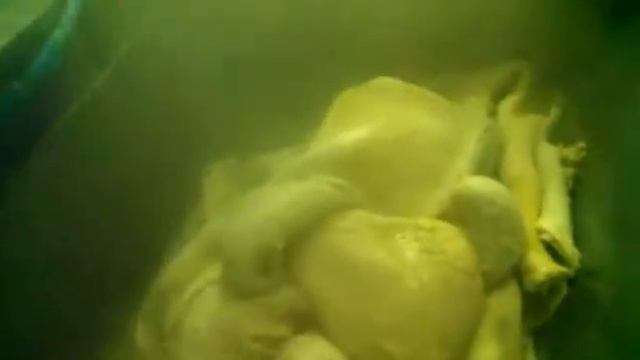 ЦЕНТРИФУГИ ДЛЯ ОБРАБОТКИ РУБЦОВ,КНИЖЕК,СЫЧУГОВ смотреть онлайн