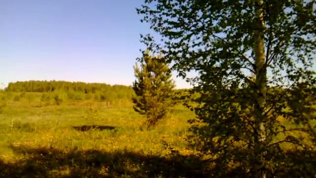 Садовая овсянка