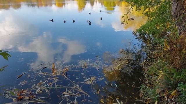Одесса сегодня. 4 минуты назад стало известно! Одесса сейчас новости смотреть онлайн