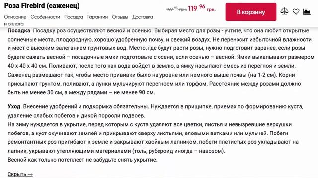 Роза Firebird саженец смотреть онлайн