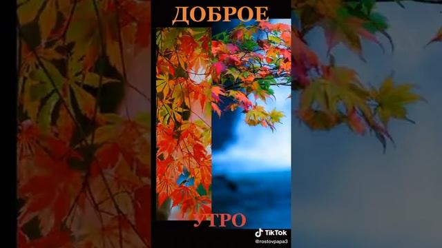 Видео с добрым утром! смотреть онлайн