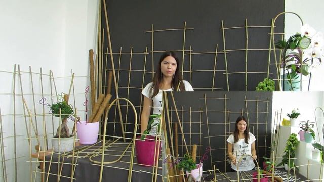 Опоры для вьющихся растений и комнатных цветов - Типы опор - Какие опоры для растений выбрать смотреть онлайн