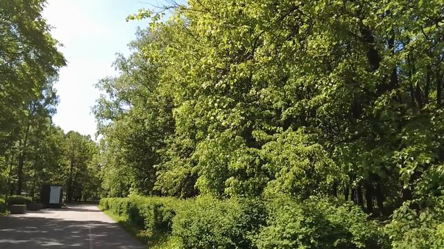 Владелец фирмы уже собирался банкротиться, но стажерка сказав 3 слова, заставила упасть ей в ноги смотреть онлайн