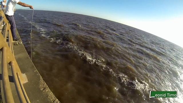 Рыбалка в Буэнос-Айресе. смотреть онлайн