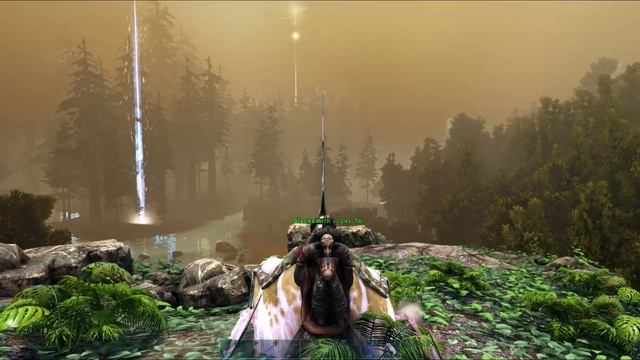 THEY ATE ALL OUR ANKIES!!!