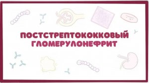 Постстрептококковый гломерулонефрит - причины, симптомы, осложнения (лекция) Osmosis