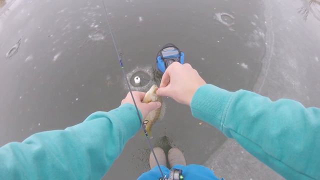 Early Ice TIPS for Bluegill Fishing (Ice Fishing 2018) смотреть онлайн