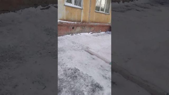 Ул. Гоголя 31 а, обзор на двор, Новосибирск