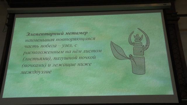 Зернов А. С. - Высшие растения - Метаморфозы корней смотреть онлайн