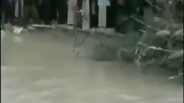 Вода Иордана на Крещение течет вспять смотреть онлайн