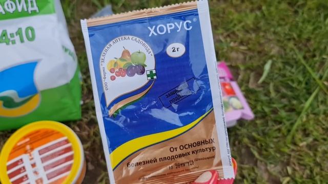 СРОЧНО ОБРАБОТАЙТЕ РОЗЫ! Коктейль 5 в 1 ЗАЩИТА от заболеваний, насекомых и ВЗРЫВАТЕЛЬ ЦВЕТЕНИЯ! смотреть онлайн