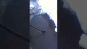 Ловля щук на острогу. За 2 минуты 40 щук.