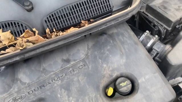 Разборка Ford - C-Max 2002-2010, 2.0 (VIN: WF0MXXGCDM5M03396) BG05VAJ смотреть онлайн
