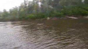Рыбалка на реке Ахтуба  Разлив на Ахтубе