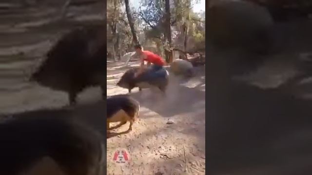 С ДНЕМ АВТОМОБИЛИСТА смотреть онлайн