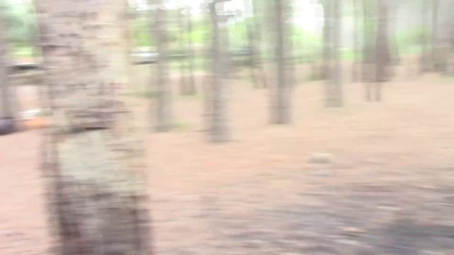 ГРИБЫ ПО-ВАЛЕНСИЙСКИ смотреть онлайн
