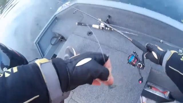 Чемпионат Республики Беларусь по лову рыбы спиннингом с лодок. Первый этап. смотреть онлайн