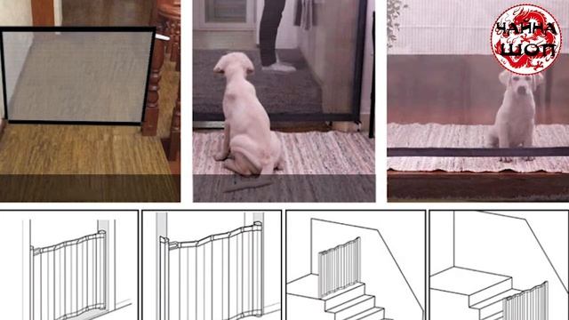 Бюджетный вольер для животных 2020 с АлиЭкспресс смотреть онлайн