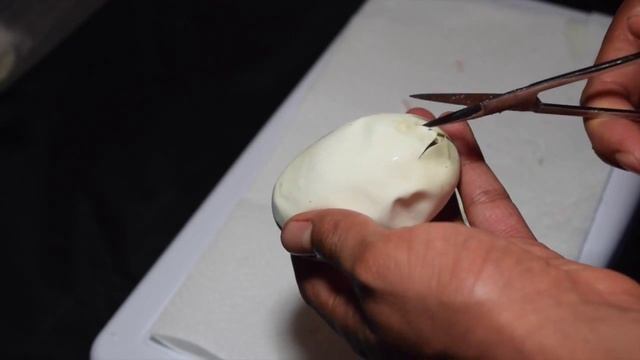 ScalyCreations Clutch #4 het pied x het pied Ball Python Egg Cutting смотреть онлайн
