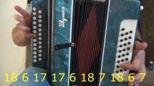 Одинокая ветка сирени разбор на гармони