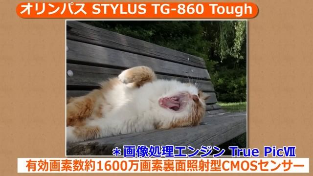 オリンパス STYLUS TG-860 Tough （カメラのキタムラ動画_OLYMPUS） смотреть онлайн