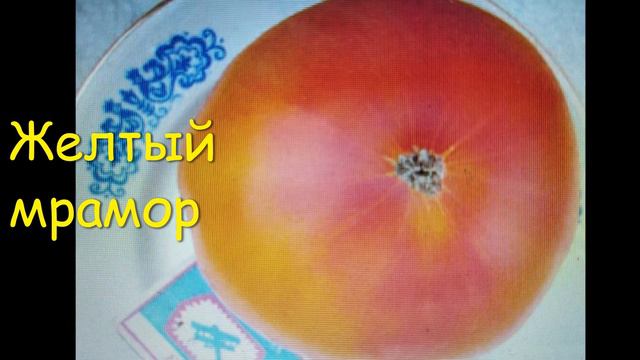 Часть 4 КАТАЛОГА ТОМАТОВ 2022 2023 г. Коллекционные томаты. г. Киров. Ватсап тел. 89229284031 смотреть онлайн