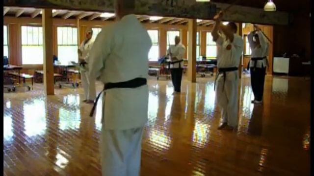Bokken (Katana) From Seminar, Ryukoku Seidokan Karate Kobudo Renmei