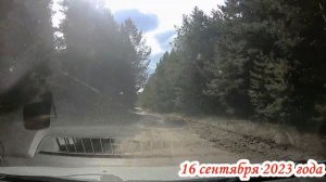 Дорога в Лысогорском районе в село Урицкое Саратовская область 16 сентября 2023 года