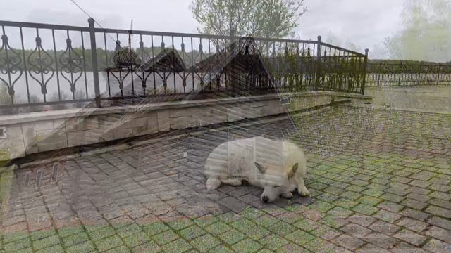 Плёс май 2024 смотреть онлайн