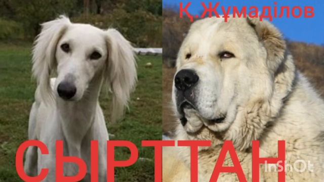 СЫРТТАН | ӘҢГІМЕ | ҚАБДЕШ ЖҰМАДІЛОВ | смотреть онлайн