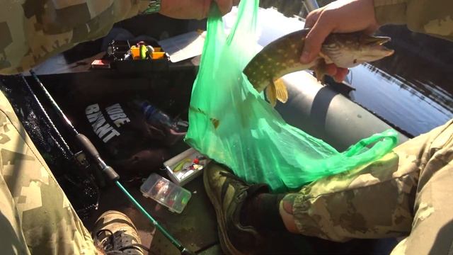 ДА сколько здесь ЩУКИ в этом маленьком ОЗЕРЕ?! наловили на спиннинг РЫБЫ на сушку