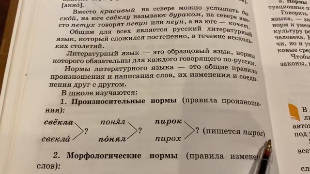 Русский язык: Понятие о литературном языке/14.12.21 смотреть онлайн