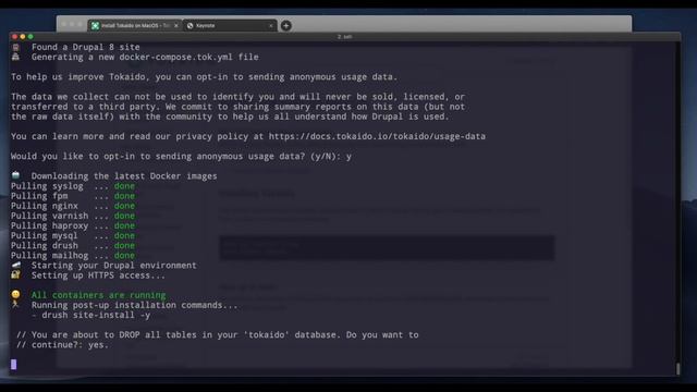 Starting a new Drupal Project with Tokaido смотреть онлайн