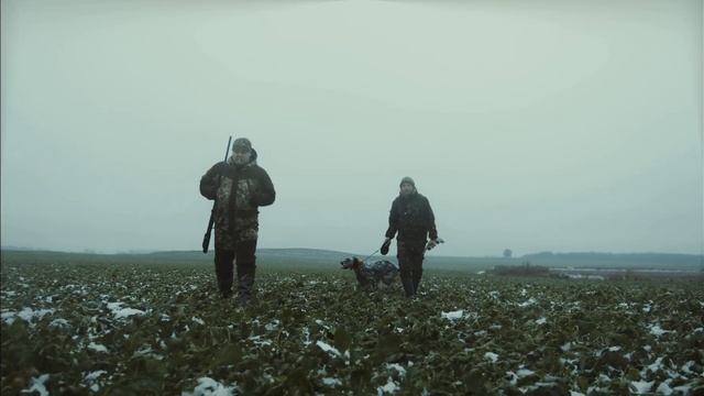 Paradox - Aokigahara/Лес самоубийц смотреть онлайн