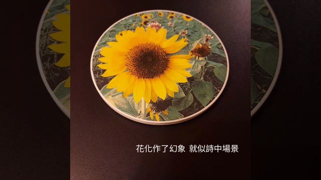 花傷之美 （原創歌） смотреть онлайн